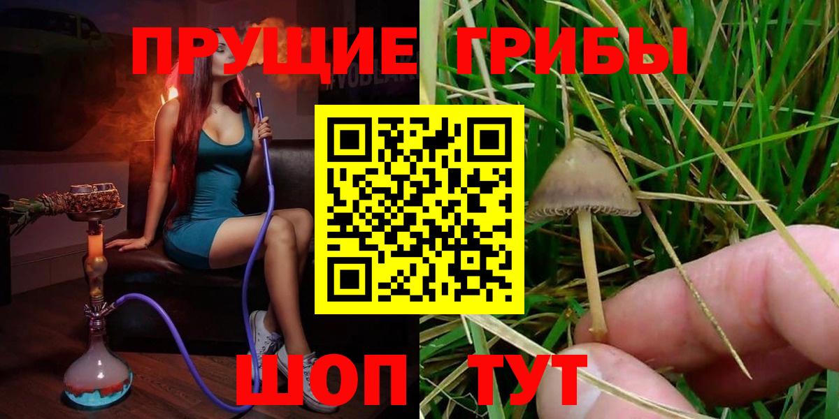 Галлюциногенные грибы Cubensis Отрадный